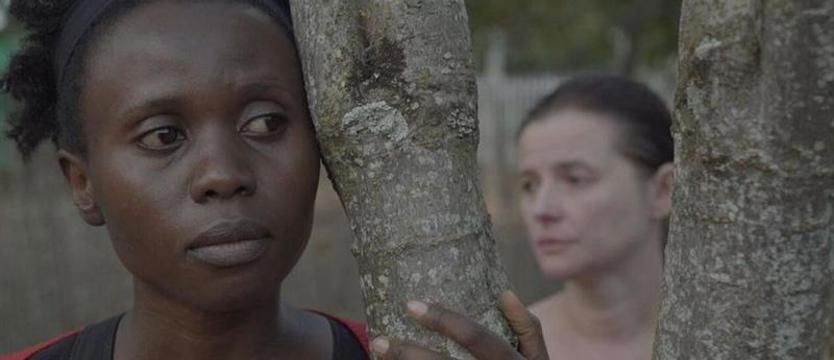 Trwa Szczecin Film Festiwal 2019 [PROGRAM]