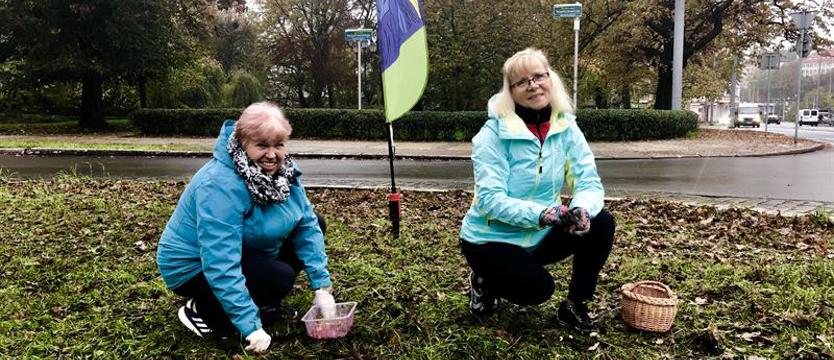 Krokusowe rondo Sybiraków
