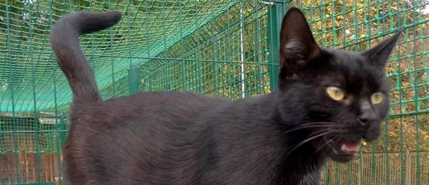 Panama na lepszy czas