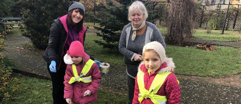 Krokusy w Domu Kombatanta
