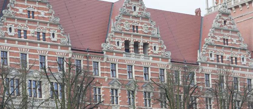 Haller i jego żołnierze