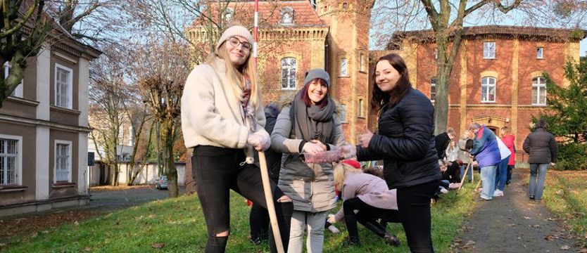 Krokusowa Rewolucja przy szkołach policealnych