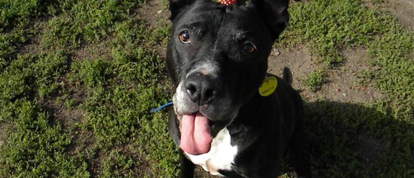 Kto przytuli Ksenę?