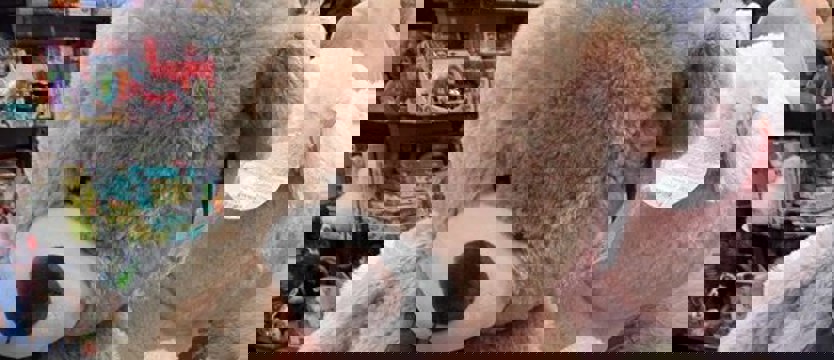 Koncert charytatywny „Miś pod szpitalną choinkę”