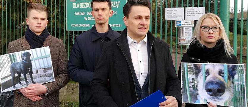 PiS o nowym schronisku: Temat zamieciony pod dywan