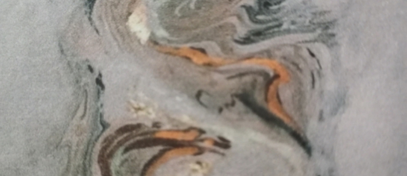 Pomoc dla Franusia z Trzebiatowa