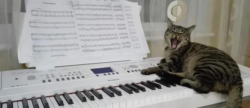 Charytatywny koncert w Nowym Browarze