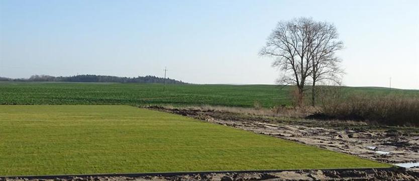 Piłka nożna. Nowa murawa w Kołbaskowie