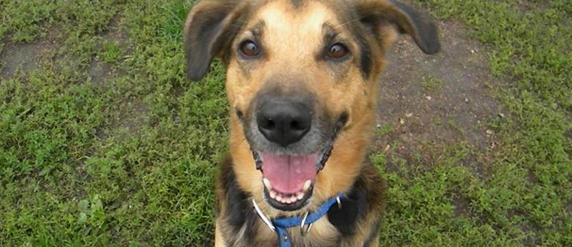 Nie po okładce z Gangusem