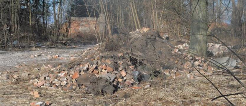 Port od stuleci walczył z chorobami