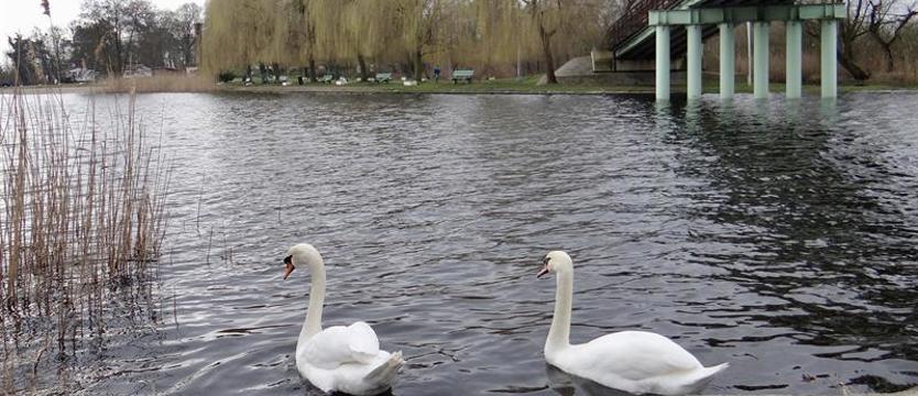 Stan epidemii to nie zabawa. Zakaz wstępu na kapieliska