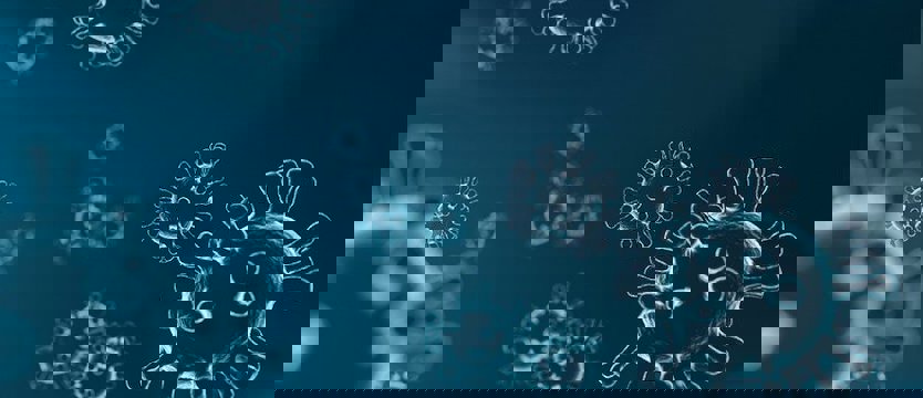 W regionie 5 nowych przypadków zakażeń koronawirusem. W sumie jest ich 165