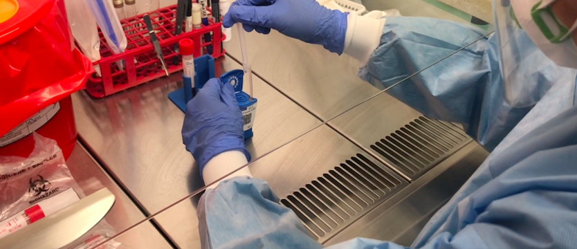 Dziecko i dwie starsze kobiety zakażone koronawirusem w Zachodniopomorskiem