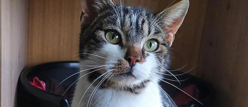 Czule przytul Aśkę