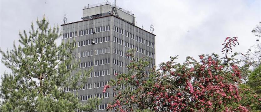 W zieleni i kwiatach, czyli architektura i natura