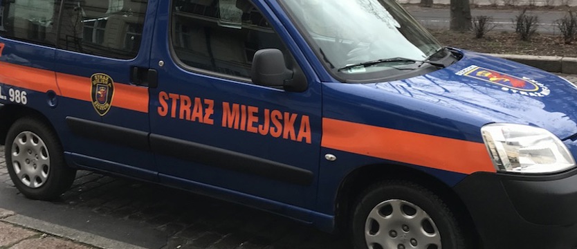 Zaparkował na krawężniku przy rondzie Gierosa w Szczecinie. Nie bez powodu...