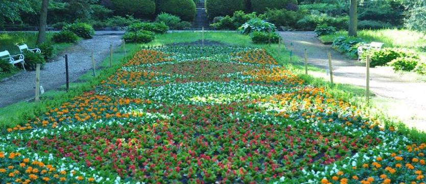 Połczyński park pięknieje