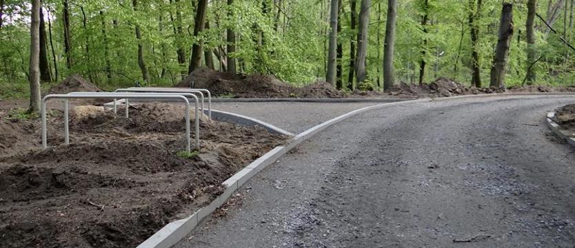 Ograniczą ruch pieszych i rowerzystów wokół Goplany. Na 10 dni