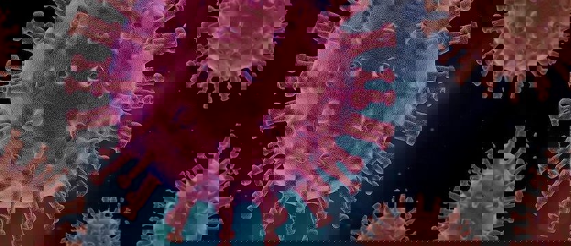 W kraju 382 nowe zakażenia koronawirusem. Zmarło 14 osób