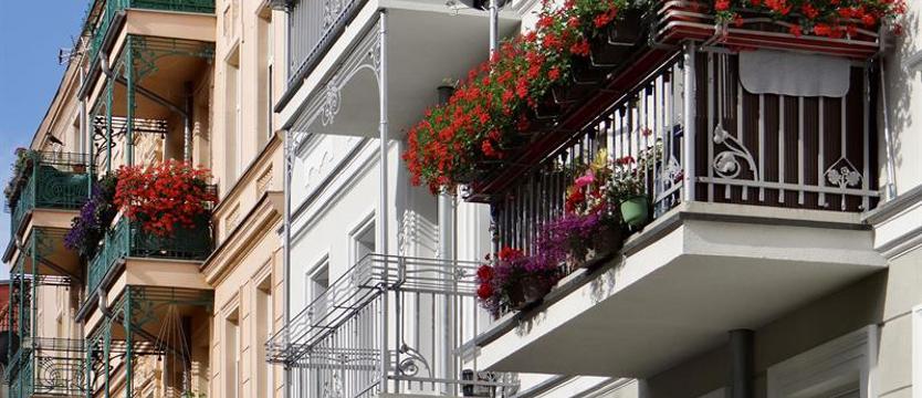 Zagrajcie w zielone i... wygrywajcie!