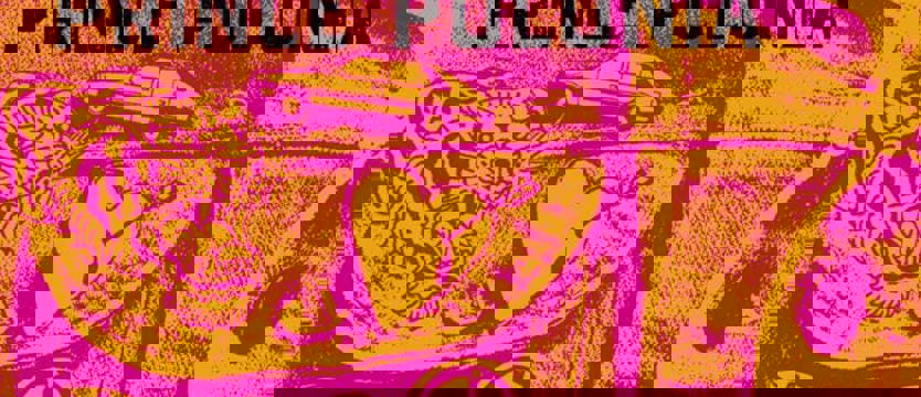 Kreszowe dresy, plastikowe klipsy... Szczecińska wystawa inspiracją dla pisarza