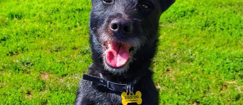 Józek od pierwszego wejrzenia