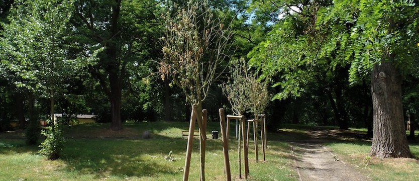 Zieleń na śladach historii Szczecina