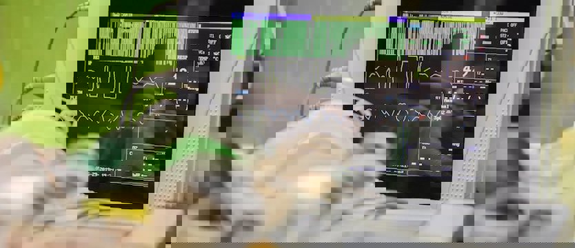 Pierwszy pies śmiertelną ofiarą koronawirusa