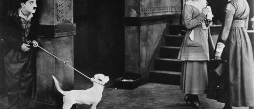 Kup marchewkę albo naszą gazetę. Weź paragon i idź z nim na film z Chaplinem