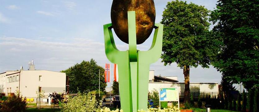 Unikatowy w świecie pomnik Ziemniaka