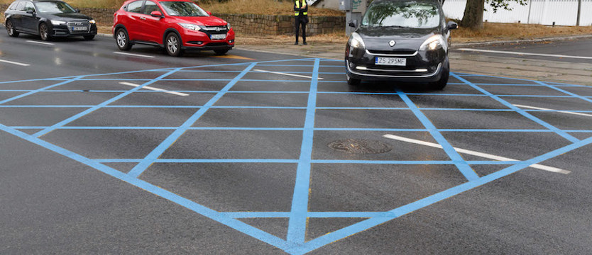 Blue boxy na ulicach Szczecina