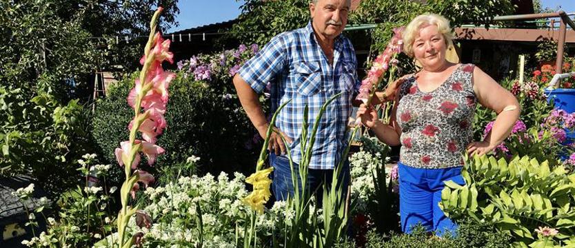 Cały Szczecin w kwiatach 2020. Seler, pomidory i dziwaczek jalapa