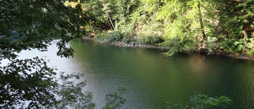 Zabawa i wielki powrót nietoperzy