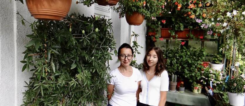 Cały Szczecin w kwiatach 2020. Lśniąca portulaka, bugenville i passiflora