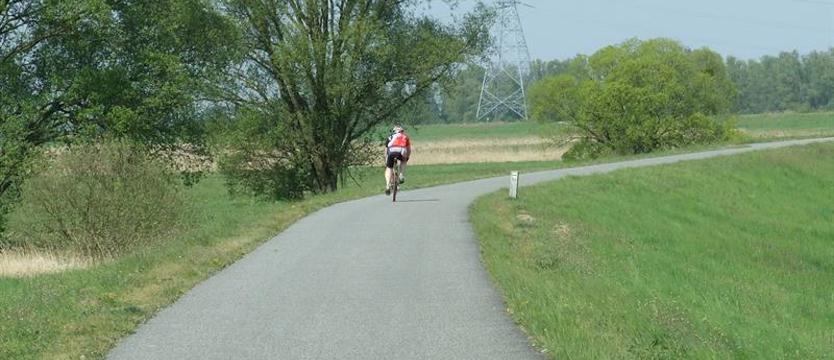 Kalendarium na tydzień