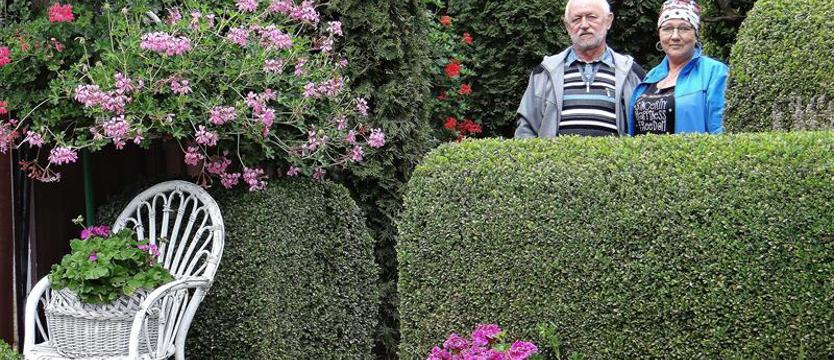 Cały Szczecin w kwiatach 2020. Z bajkową nutą na Warszewie