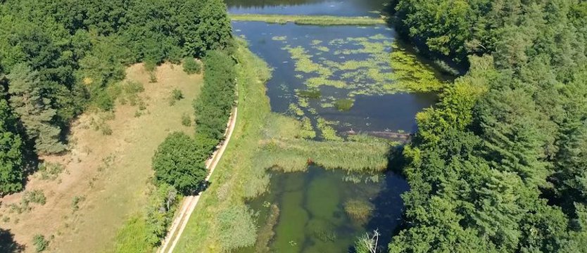 Powstał Barlinecki Park Krajobrazowy – siódmy na Pomorzu Zachodnim