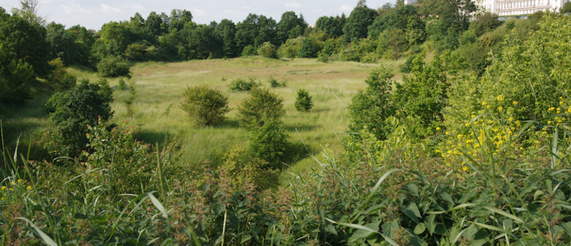 Czy wiesz, że...? Górki reaktywacja