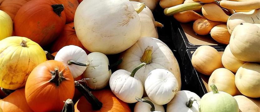 Światowy Dzień Wegetarianizmu. Dla dobrego życia