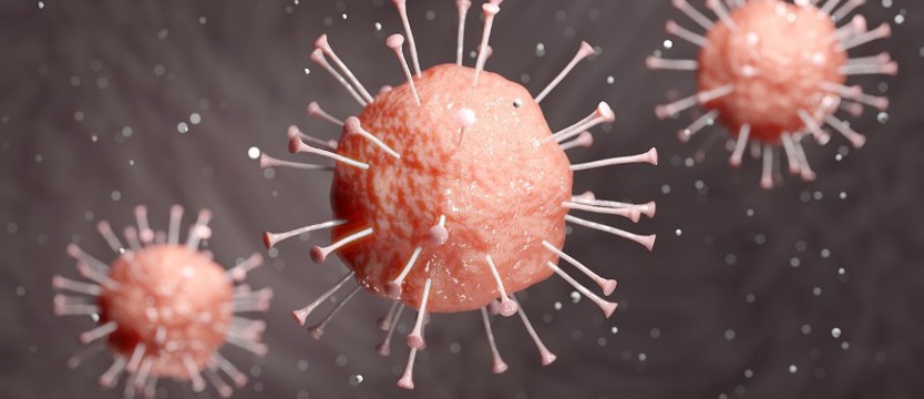Znów ponad 13 tysięcy nowych zakażeń w ciągu doby. Zmarło 179 osób