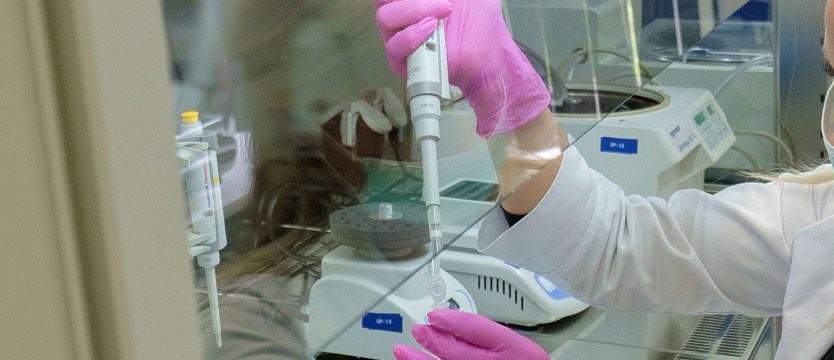 W Szczecinie aż 184 nowe zakażenia. W całym regionie 521