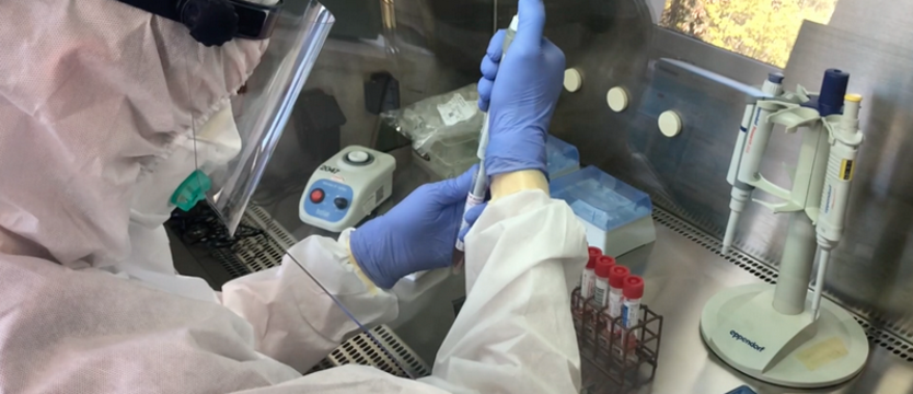 W Zachodniopomorskiem znów ponad 700 zakażeń wirusem SARS-CoV-2. Zmarły dwie osoby