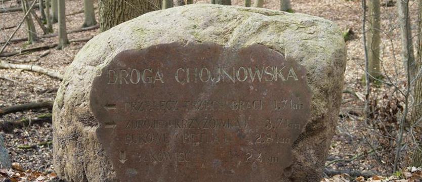 Głazy w Puszczy Bukowej