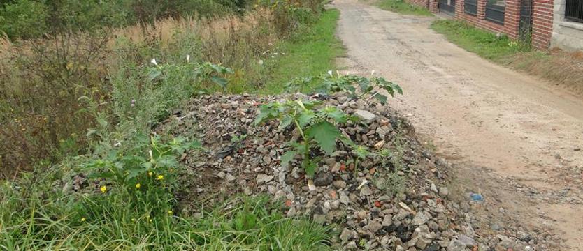 Gruz na drodze leży od kilku miesięcy.  Ulica Jesienna w Gryfinie zapomniana?