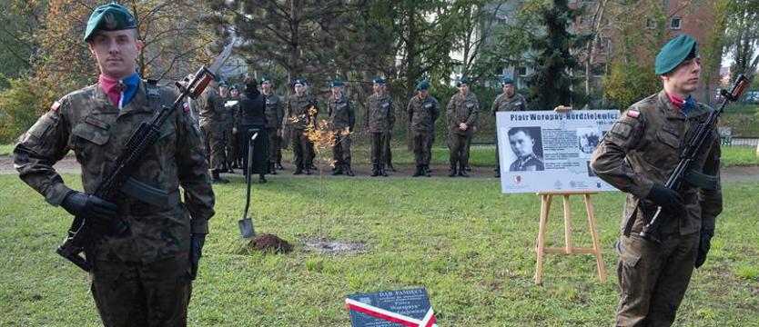 W Szczecinie posadzili dęby, które przypominają o zasłużonych Polakach