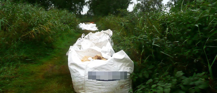 Śmierdzący incydent po festiwalu