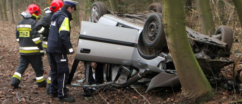 Mniej tragiczne wakacje