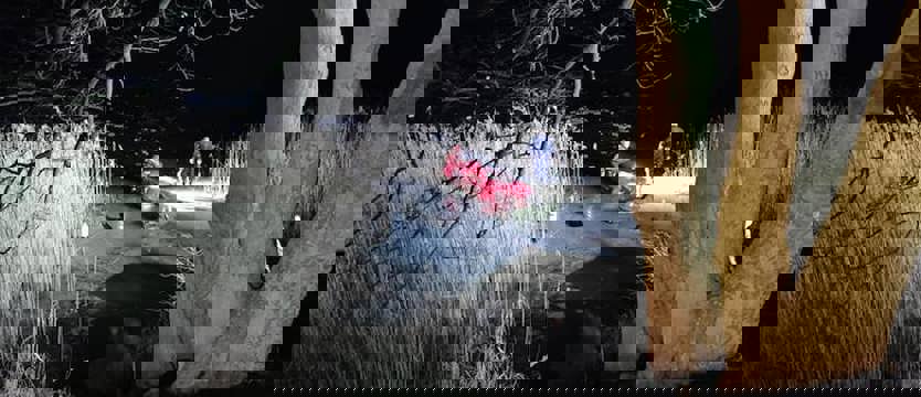 Wydobyli martwe sarny, które wypłynęły spod lodu koło Marianowa