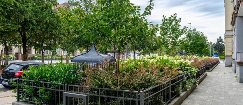 Szczecin zaciska pasa. Budżet na miarę kryzysu