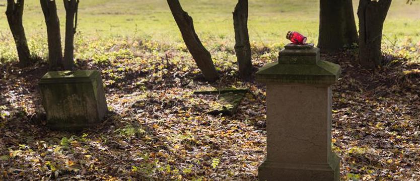 Obraz sprzed wieku i rocznicowy spacer